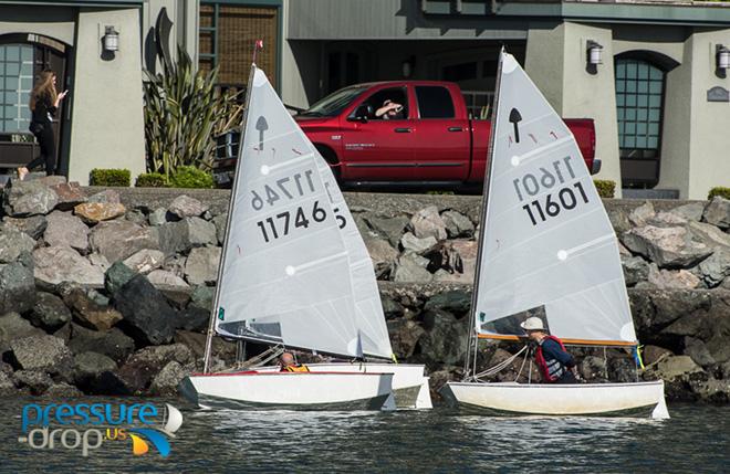Sixty-second Annual Golden Gate Bullship Race  © Pressure Drop . US